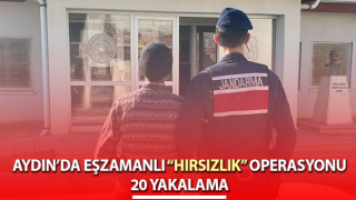 Aydın’da “hırsızlık” operasyonu