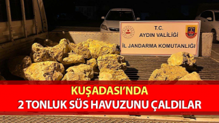 Aydın’da hırsızlık şüphelisi 3 kişi yakalandı