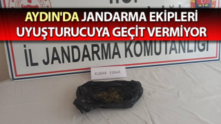 Aydın'da jandarma ekipleri uyuşturucuya geçit vermiyor