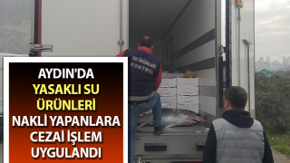 Aydın'da yasaklı su ürünleri denetimi