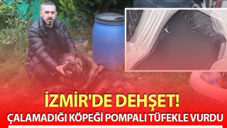 Çalamadığı köpeği pompalı tüfekle vurdu