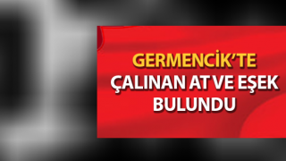 Çalınan at ve eşeği jandarma buldu