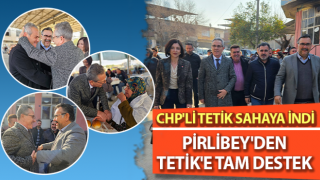 CHP'li Tetik sahaya indi