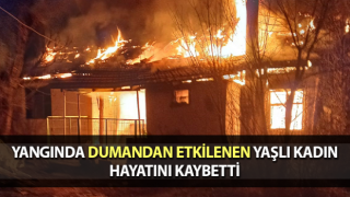 Denizli'de Yangına giden itfaiye aracı yoğun siste devrildi