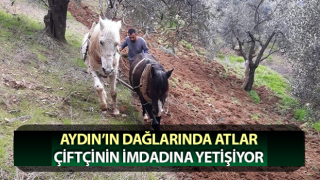 Ege’de havalar ılıman gidince çiftçiler tarlaya indi