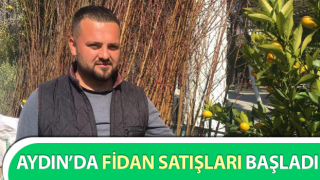 Fidan satışları başladı