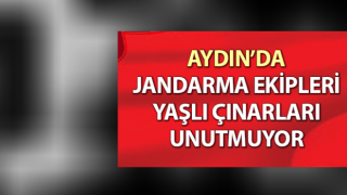 Jandarma yaşlı çınarları unutmuyor