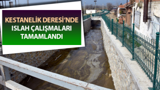 Kestanelik Deresi nefes aldı