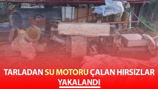 Nazilli'de hırsızlık şüphelileri yakalandı