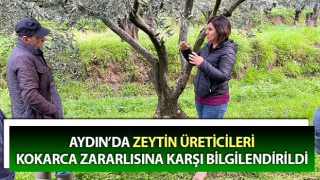 Zeytin üreticileri kokarca zararlısına karşı bilgilendirildi