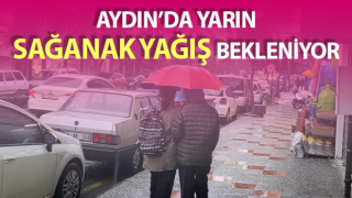 Aydın bahar yağmurlarını bekliyor