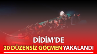 Aydın’da 20 düzensiz göçmen yakalandı