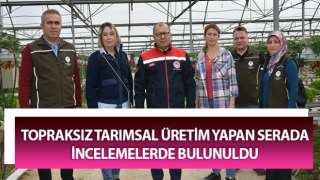 Aydın’da seralarda incelemeler yapıldı