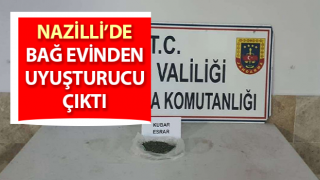 Bağ evinden uyuşturucu çıktı