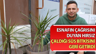 Esnaf Aykut Ünlü: “Bir çiçek için hırsız damgasına gerek yok”