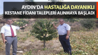 Hastalığa dayanıklı kestane fidanı talepleri alınmaya başladı