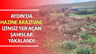 Hazine arazinde izinsiz yer açarken jandarmaya takıldı