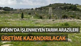 İşlenmeyen araziler üretime kazandırılacak