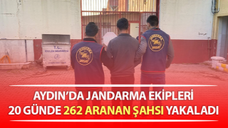 Jandarma 20 günde 262 aranan şahsı yakaladı