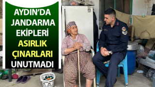 Jandarma asırlık çınarları unutmadı