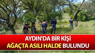 Köşk’te bir kişi ağaçta asılı halde bulundu