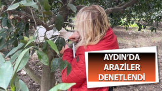 Söke'de araziler denetlendi