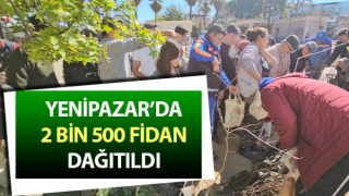 Yenipazar’da 2 bin 500 fidan dağıtıldı