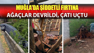 45 dakika yağdı, ağaçlar devrildi, çatı uçtu