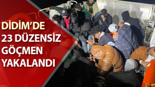 Aydın’da 23 düzensiz göçmen yakalandı