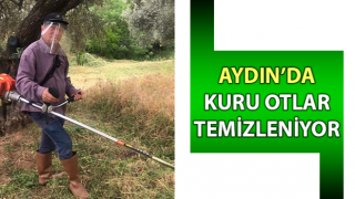 Aydın’da kuru otlar temizleniyor