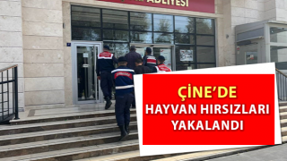 Çine’de büyükbaş hayvanı çalan hırsızlar yakalandı