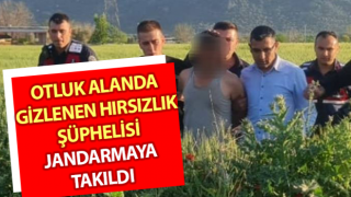 Çine’de hırsızlık şüphelisi kıskıvrak yakalandı