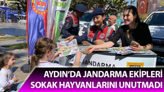 Jandarma sokak hayvanlarını unutmadı