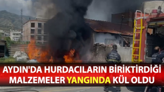 Yangın eve sıçramadan söndürüldü