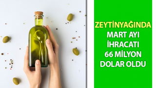 Zeytinyağında Mart ayı ihracatı 66 milyon dolar oldu