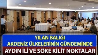 Aydın, yılan balığı çalıştayına ev sahipliği yaptı