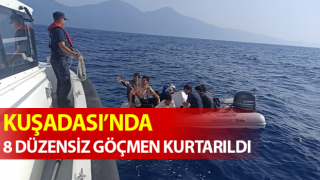 Aydın’da 8 düzensiz göçmen kurtarıldı