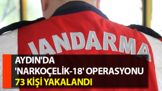 Aydın'da 'Narkoçelik-18' operasyonu