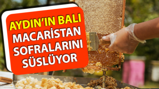 Aydın’da üretilen balların ihracat yolculuğu devam ediyor