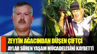 Aydın’da zeytin ağacından düşen çiftçi hayatını kaybetti