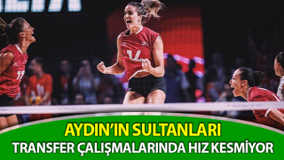 Aydın’ın Sultanları, transfer çalışmaları sürüyor