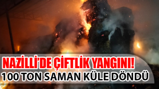 Çiftlikte çıkan yangında yaklaşık 100 ton saman küle döndü