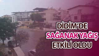 Didim’de sağanak yağış etkili oldu