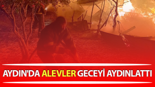 Efeler’de alevler geceyi aydınlattı