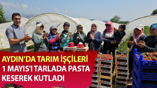 İşçi bayramını meydanda değil, tarlada kutladılar