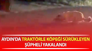 Köpeği traktörle sürükleyen şüpheli yakalandı