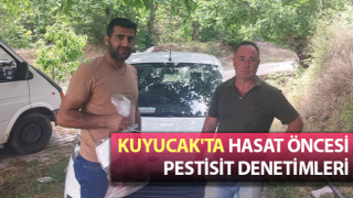 Kuyucak'ta hasat öncesi pestisit denetimleri