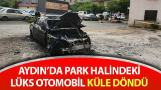 Lüks otomobil küle döndü