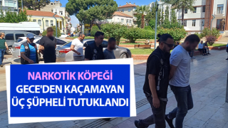 Narkotik köpeği Gece'den kaçamayan üç şüpheli tutuklandı