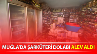 Seydikemer'de şarküteri dolabı alev aldı